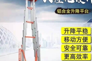 常州雙桅鋁合金升降機   生產(chǎn)廠家